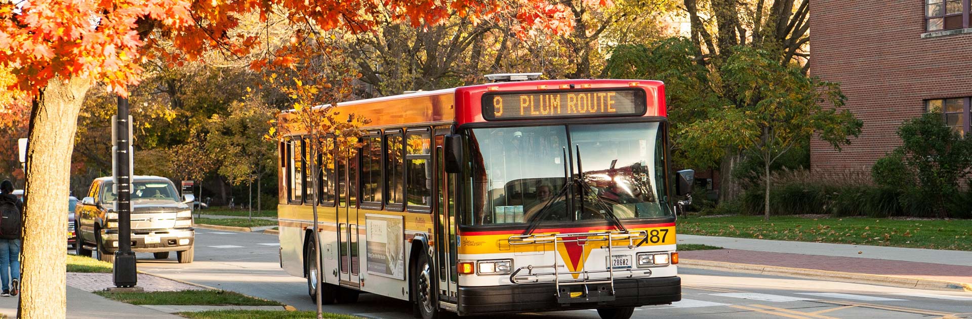 Bus Operating on #9 Plum Route in fall service with colorful fall foilage.