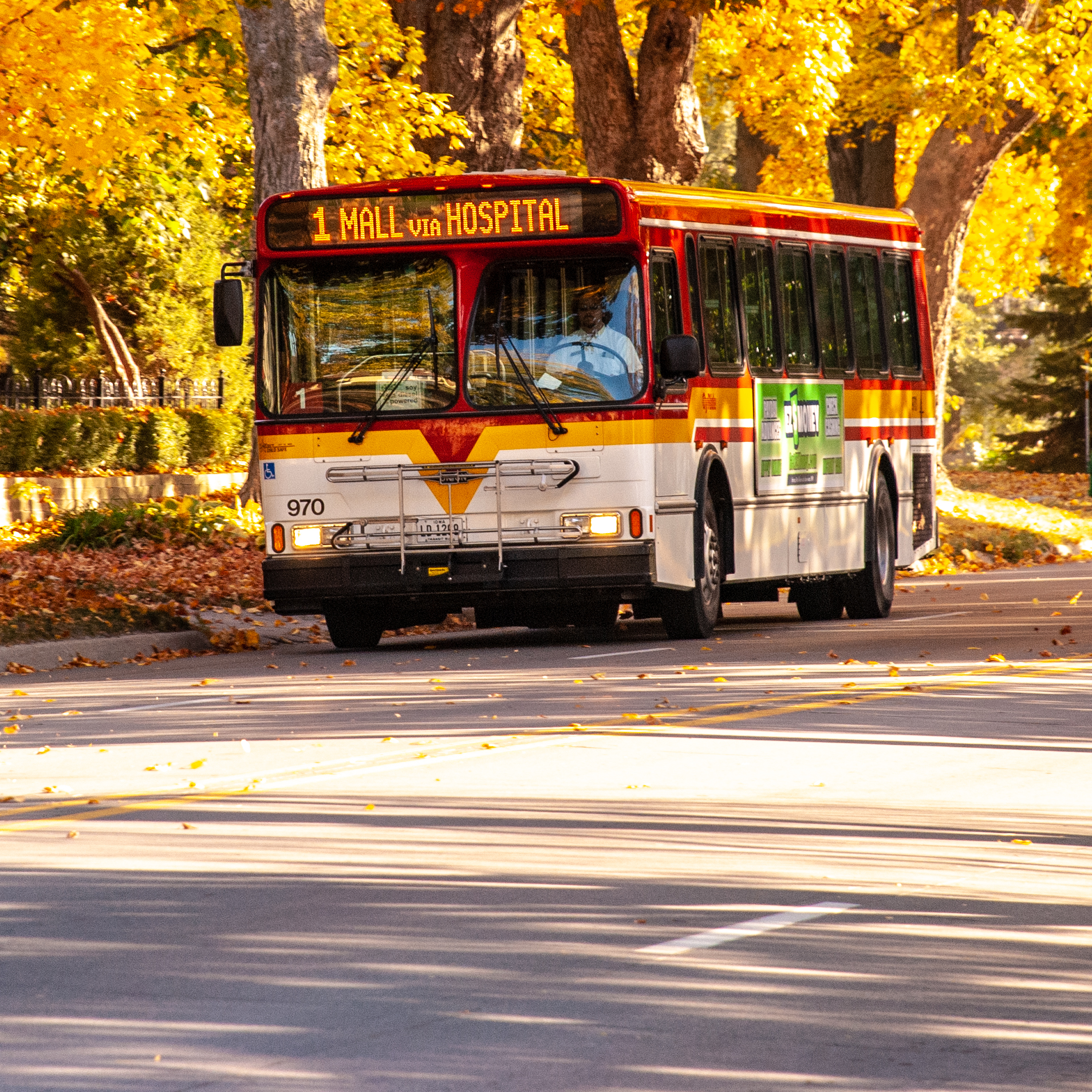 #1 Red East on Duff with fall trees